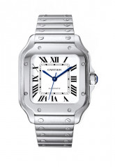 Cartier WSSA0009